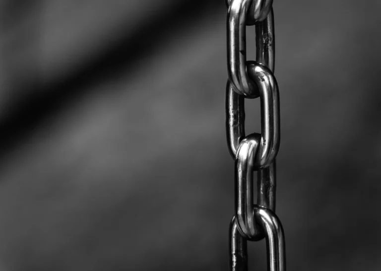 link building